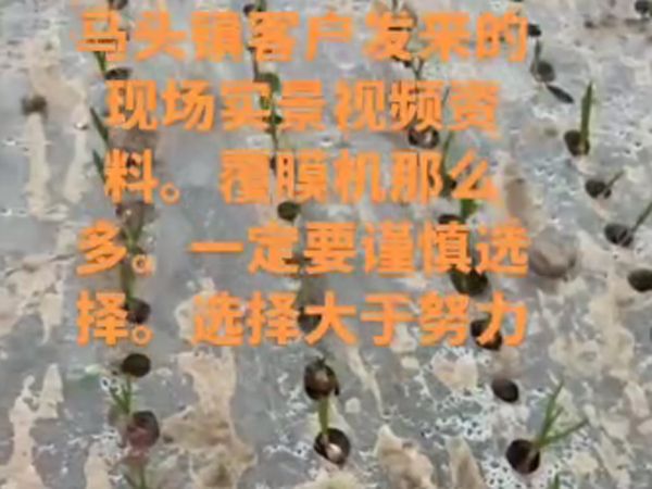 大蒜洋蔥覆膜打孔一體機(jī)視頻